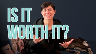 Skip the Big Pet Trade Shows – Do This Instead!