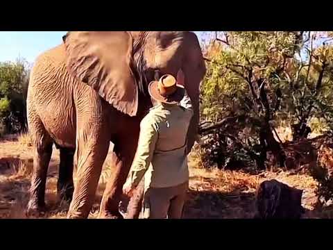 The Survival Struggles in Africa’s Last Paradise