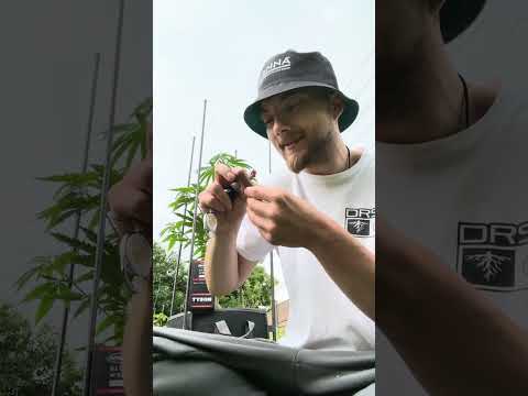 Futurola Blunt Wraps (Tobacco Free) x Tyson 2.0 REVIEW🌱Terpene Infused🐸