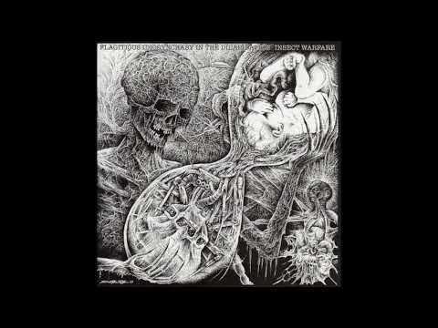 Flagitious Idiosyncrasy In The Dilapidation / Insect Warfare - Split 7" (Full EP)