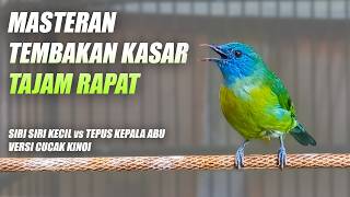 Download lagu GAMPANG MASUK!! MASTERAN TEMBAKAN TAJAM KASAR RAPAT CUCAK KINOI FULL ISIAN SIRI SIRI KECIL & TEPUS mp3