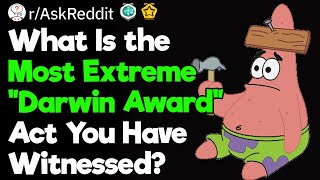 You Fully Deserve the "Darwin Award"!