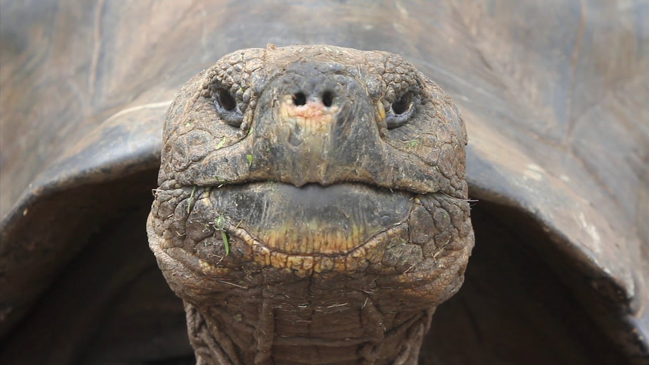 Welcome to the Galápagos Science Center
