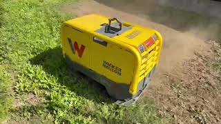 Wacker Neuson DPU 80R LEM670 plate compactor | Image 4 - Machineryline
