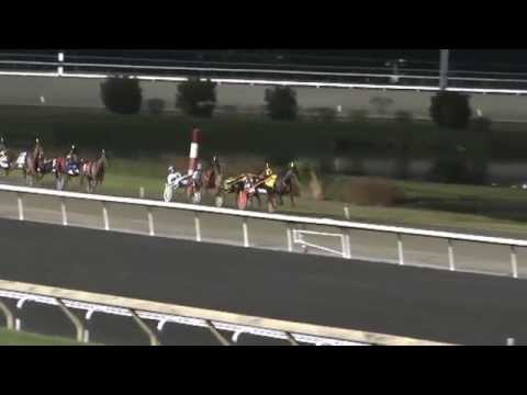 Bee A Magician, Perfect Alliance & watchingponies at Woodbine