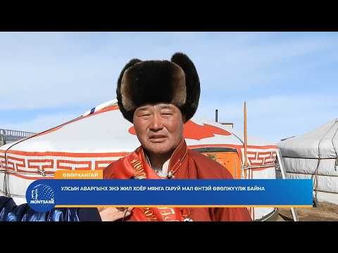 ӨВӨРХАНГАЙ: Улсын аваргынх энэ жил хоёр мянга гаруй мал өнтэй өвөлжүүлж байна