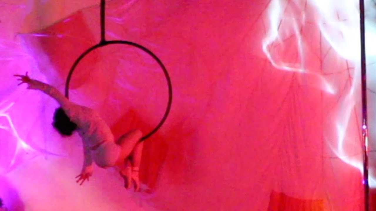 Promotional video thumbnail 5 for Aerial Artist Nichoel Ann