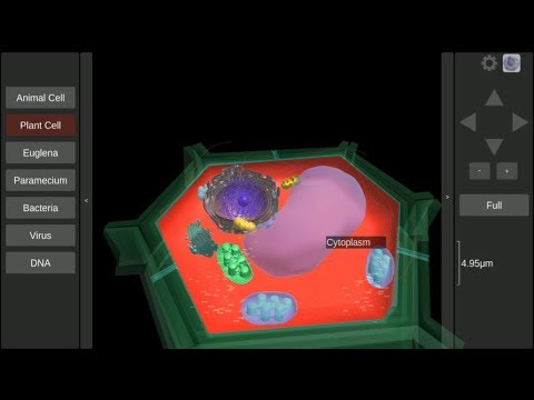 3D Virtual Cell Video