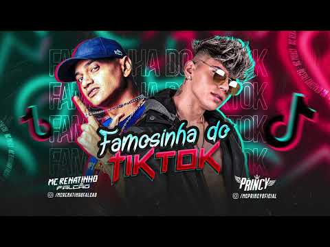 MC PRINCY, MC RENATINHO FALCÃO - FAMOSINHA DO TIKTOK - REMIX BREGA FUNK