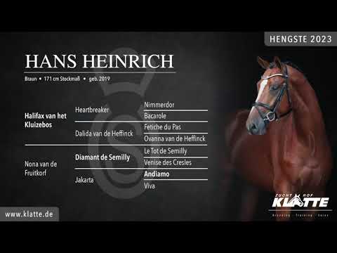 HANS HEINRICH *2019 v.Halifax vd Kluizebos x Diamant de Semilly x Andiamo HENGSTE 2023 www.klatte.de