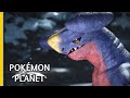 Pokemon Planet 0445 Garchomp