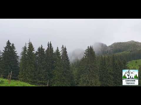 Podul Cu Flori  Iunie 2021