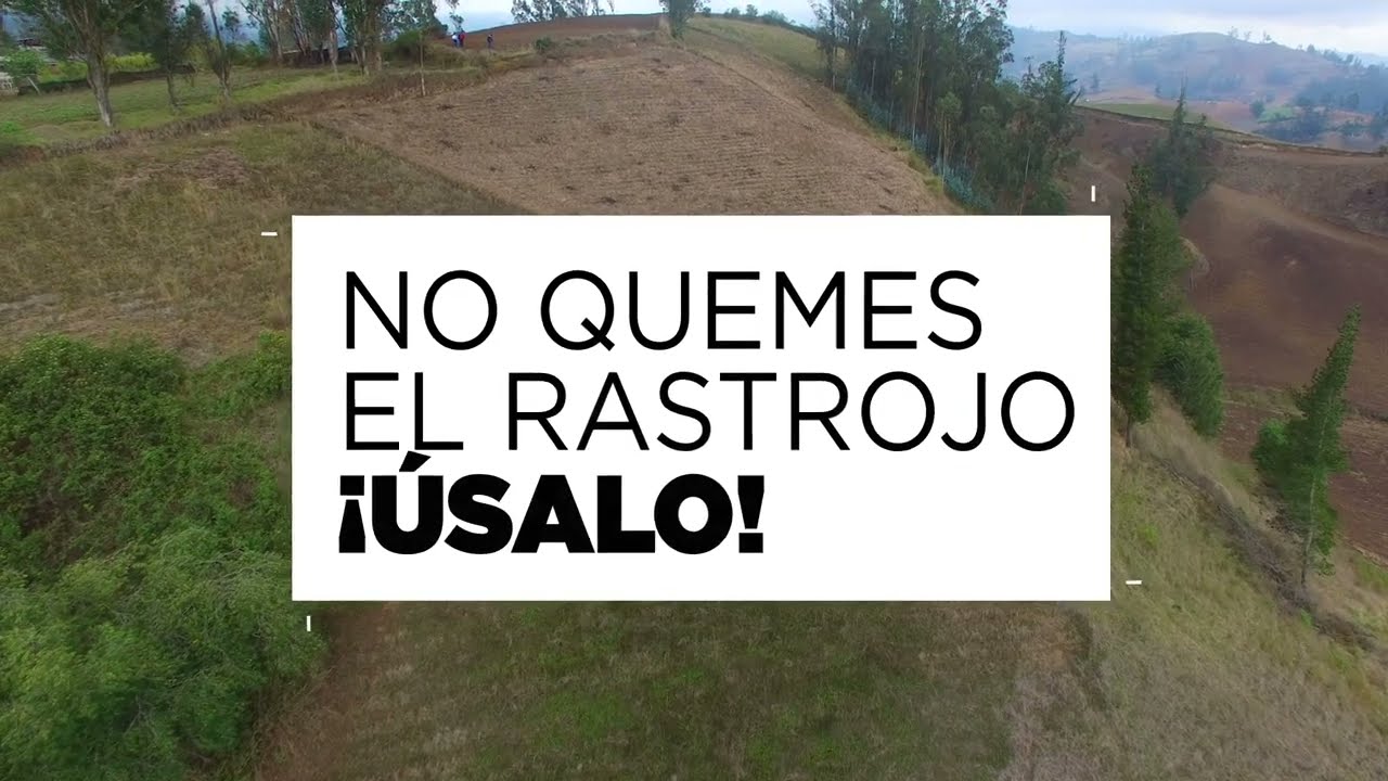 No Quemes el Rastrojo, ¡ÚSALO!