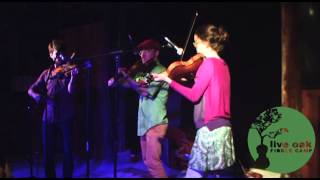 Live Oak Fiddle Camp 2014 - Brittany Haas, Casey Driessen & Alex Hargreaves