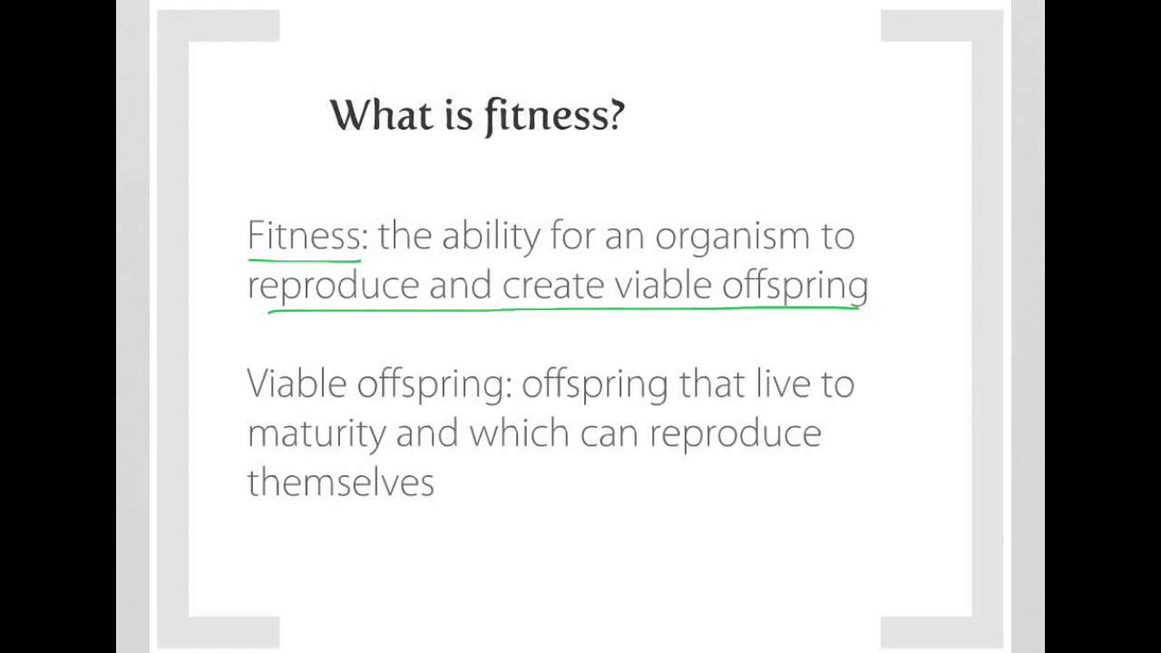 Darwinian Evolution and Fitness