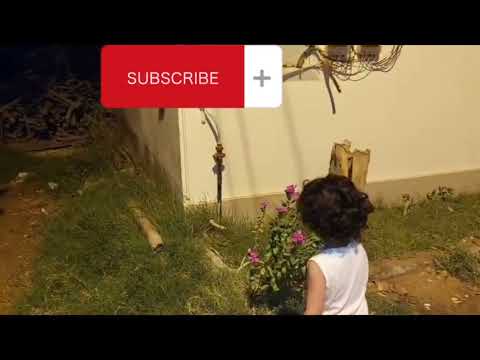 late Night walk with Rania | Rania likes Flowers 💐