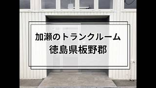 YouTube動画