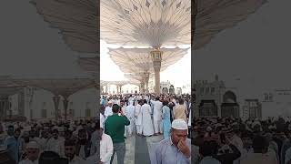 Download lagu Jumama Prayer#madina #masjidnabawi #beautifulmadina #viral mp3 Download lagu Jumama Prayer#madina #masjidnabawi #beautifulmadina #viral mp3