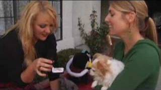 jaime paxton &quot;Anytime&quot;