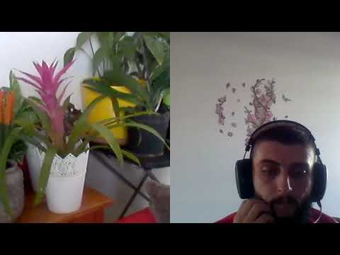 Hipnoza regresiva268  Alexandru din Antania si corsetul karmatic A si C Moraru