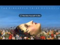 The Pineapple Thief - The One You Left To Die ...