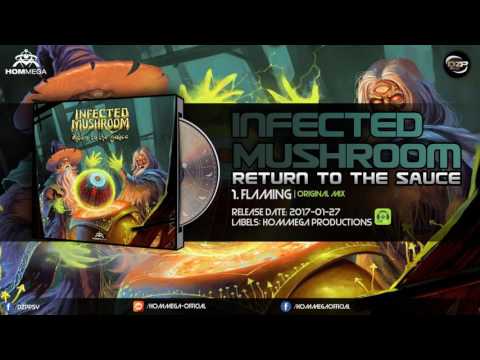 Infected Mushroom - Flaming