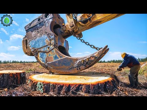 Extreme Dangerous Fastest Big Chainsaw Cutting Tree Machines | Monster Stump Removal Excavator ▶28