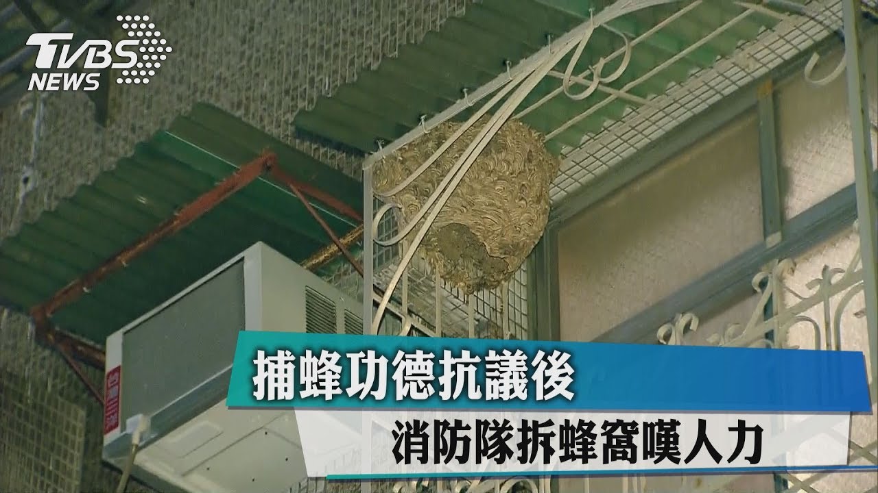 不滿捕蜂是「功德」 消防隊嘆人力吃緊仍兼拆蜂窩