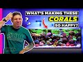 Space Coast Reef tank is Packed to the Gills | 230