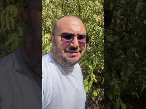 Belíssimo passeio pela a barragem de mãe d’água em Coremas PB
