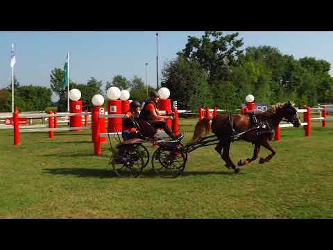 Fahrturnier Ostenfelde 21.8.2022
