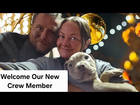 Day 3 of our narrowboat renovation project We have a new crew member Ep40