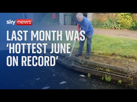 Fears for fish as last month confirmed as hottest June on record