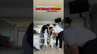Best "Pet Dance Partner" Trend🐮💥