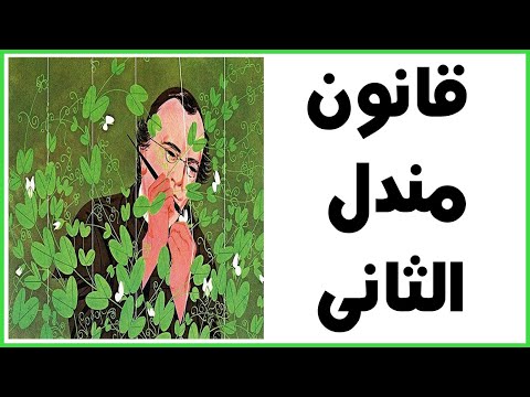 مدرس دوت كوم شرح قانون مندل الثانى وأفكارمسائل الوراثة