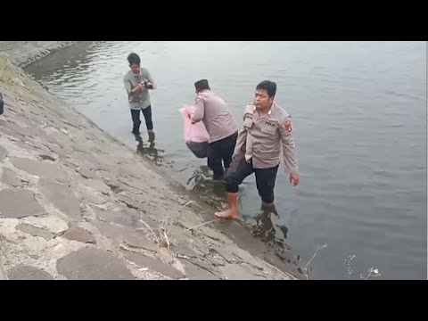 POLRES SERANG TEBAR BIBIT IKAN DUKUNG PROGRAM KETAHANAN PANGAN