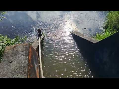 nascente do Ribeirão colônia zona sul de São Paulo