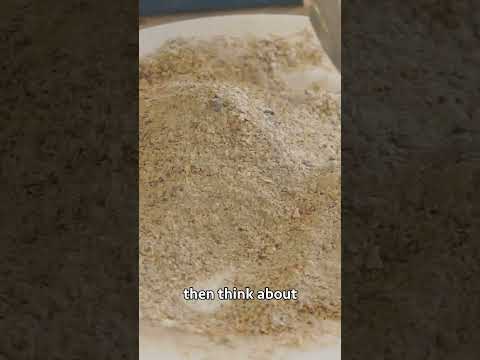 Broiler Chicken Farming broilerchicken poultryfarming chicken poultrymanagement