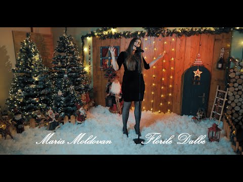 Paula Seling - Florile dalbe - cover Maria Moldovan