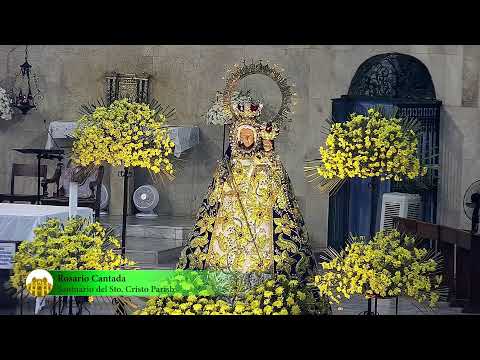 Missa do Tríduo em Honra a Nossa Senhora do Santo Rosário de Orani (3º dia) I 18 de novembro de 2023 - 18h