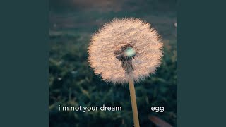 I'm Not Your Dream Music Video