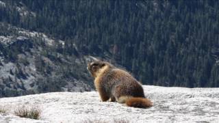 The Temple of The Holy Ghost-Axel Rudi Pell