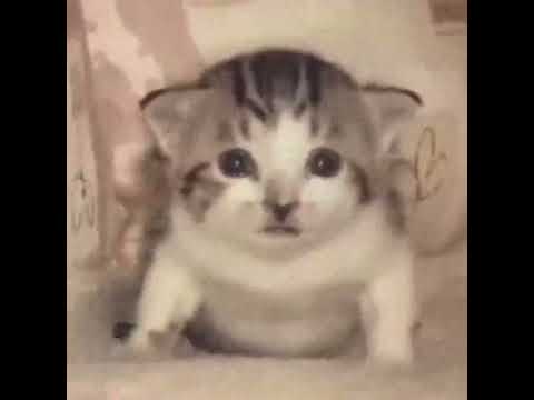 [FREE FOR PROFIT] NASCAR ALOE X TAKIZAVA X DMTBOY X DEKMA TYPE BEAT- "РЁБРА" | prod. by qq1d