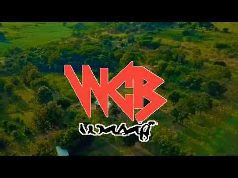 Diamond Platinumz ft Lavalava - Unanikumbuka