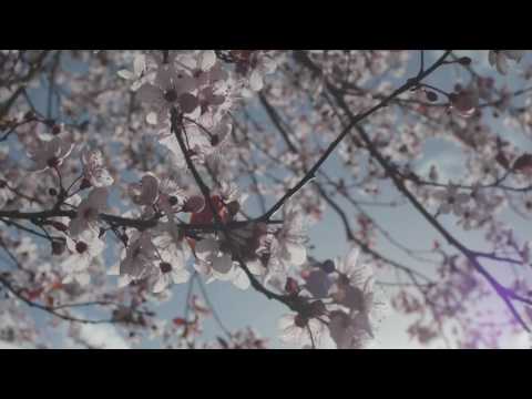 2017 05 04 Frühlings Trailer