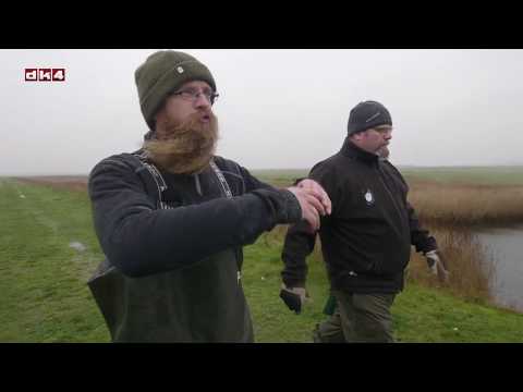 Vild mad - ogsaa om vinteren