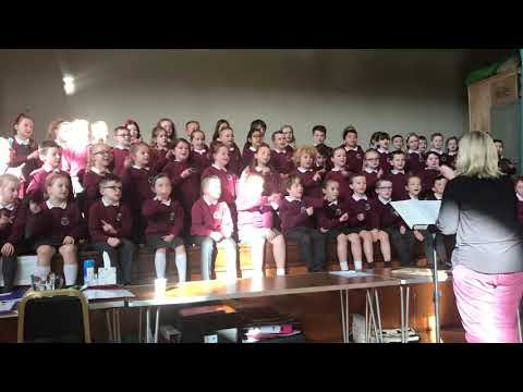 4 March 2020  Bush PS    Special