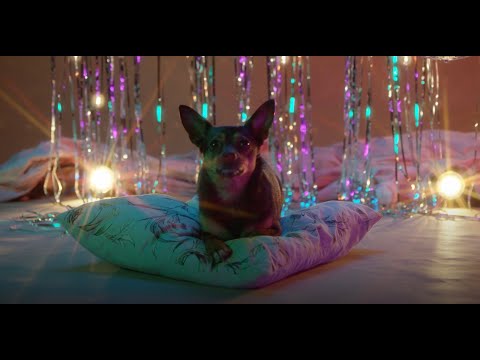 VETO - Maja Iris [Official Musicvideo]