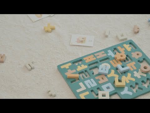 비디오 17