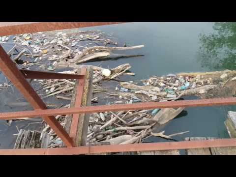 Podul de la Ictar-Budinti, jud.Timis, distrus de timp si nepasarea politicienilor.